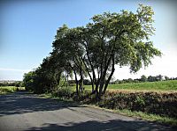 výhledy od křižovatky před Skaličkou