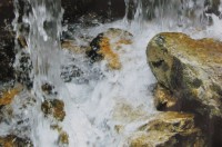 Vodní živel Borového potoka