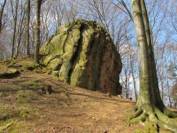 Skalisko Čertův kámen a zbytky hradu Rýsova