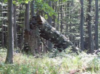 cestou od Karlovy studánky k Rolandovu kameni