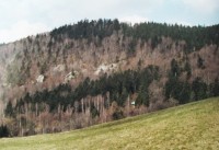 ostrý svah Hradiska se skalisky