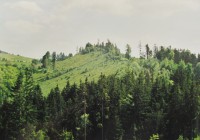 vrch nad Medůvkou