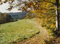 "Veselý podzim" na Senicku a Pulčínsku - ( 2001 )