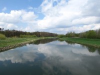 řeka Morava protékající za parkem