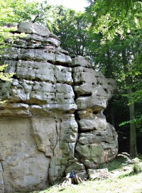 Chřiby - skalní věž Kozel