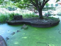 Luhačovice - japonská zahrada