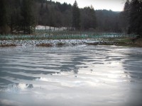 Trubiska  - rybníky