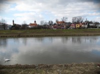 Břehy Moravy u Kvasic