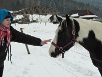 Z Držkové údolím Dřevnice na ranč s koňmi