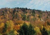 pohled z údolí k vrcholu Hradiska