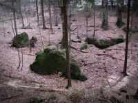 Valašskosenicko - Zelený kámen a Rodinka