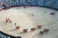 Los Toros – corrida napínavá i milosrdná