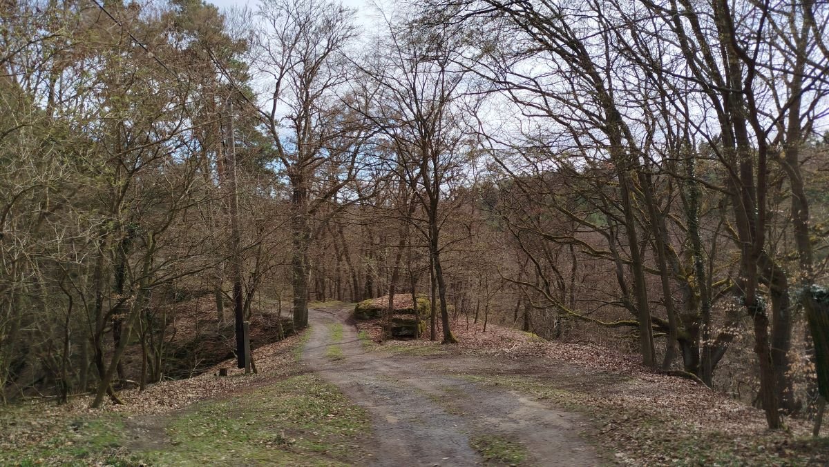 Březinka - Jestřebice - Dobřeň - Šemanovice