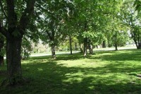 Park Generála Lázaro Cárdenase