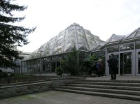 Essen - skleník botanické zahrady