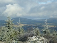 Pohled od Bukové hory na rozhlednu Křížová hora nad Červenou Vodou.