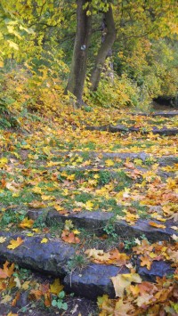 Slánská hora v podzimních barvách ...