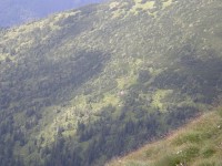 MALA FATRA 