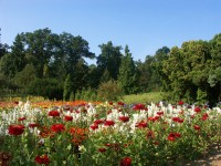 Zámecké zásobní zahradnictví Veltrusy