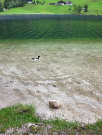 Hintersee bei Ramsau