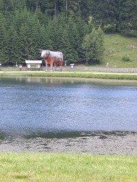 dřevěná socha u jezera