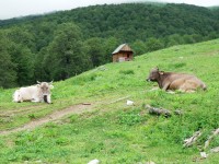 cesta na katun Vranjak