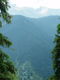 Jsou i omezené výhledy na Nízké Tatry