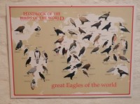 Mapa velkých orlů ve světě