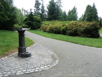 V parku