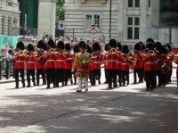 Royal Guard (Královská garda)