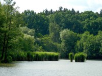 Horní rybník, jihozápadní kout