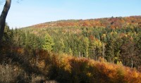 Údolí řeky Javorky v barvách podzimu