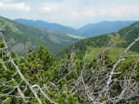 Dolina Štiavnica přechází dál do Janské doliny