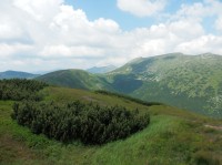 Na úbočí Králičky, vpravo jsou opět Ďumbier, Štiavnica a její předvrchol, vzadu se modrají Dereše (2.003 m n. m.) a Chopok (2.024 m n. m.)