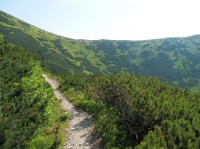 Nad Dolinou Štiavnica, pohled do sedla Králička