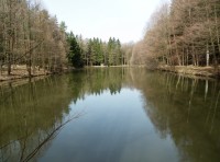 Pohled na rybník z jihovýchodního břehu