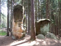 Buddhovy kameny v Lese Království