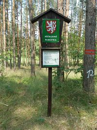 Označení přírodní památky u červeně značené cesty vedoucí kolem rybníka, k rašeliništi je to přibližně 50 metrů přes les