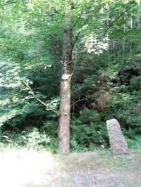 Strom s pomníčkem
