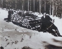 Historická fotografie - svážení dřeva na Štolpišské silnici