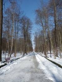 Hlavní cesta lázeňským parkem, vede od rybníku k centrální části parku