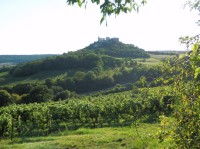 Zřícenina hradu Falkenstein, pohled při stoupání na Höllenstein