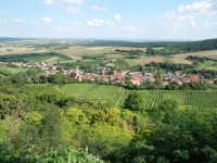 Obec Falkenstein mezi vinicemi