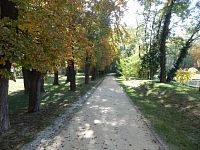 Cesta podél hřbitova parkem Maxe van der Stoela