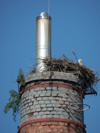 Čapí hnízdo na komíně