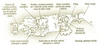 Půdorysný náčrt skalního hrádku s popisem