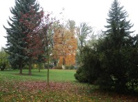 Podzim ve Smetanových sadech