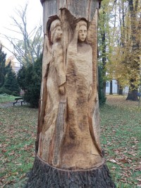 Dřevořezba v odumřelém stromu 