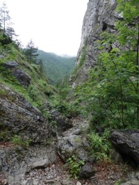 Divoká horní část Prosiecké doliny