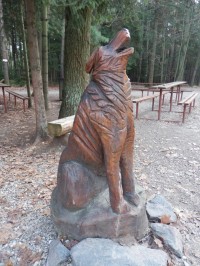 Poslední vlk v Hradeckých lesích